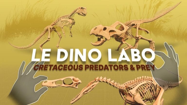 High resolution product overview of Le Dino Labo Cretaceous