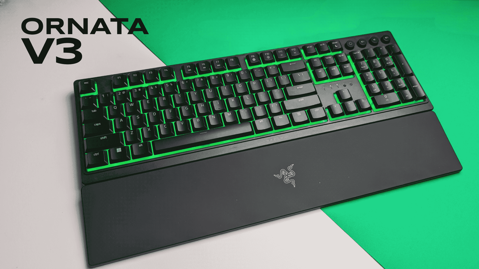 Razer BlackWidow V4 75% Review: Luxury Keys, Mac Reality Check Hands-on close-up showing features of Razer luxury gaming keyboard